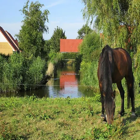 With Jetty, 19 Km From Hoorn * אנדייק